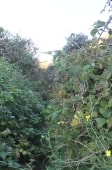 chemin glissant en sortie de port de Boulogne